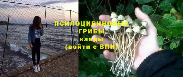 твердый Абинск